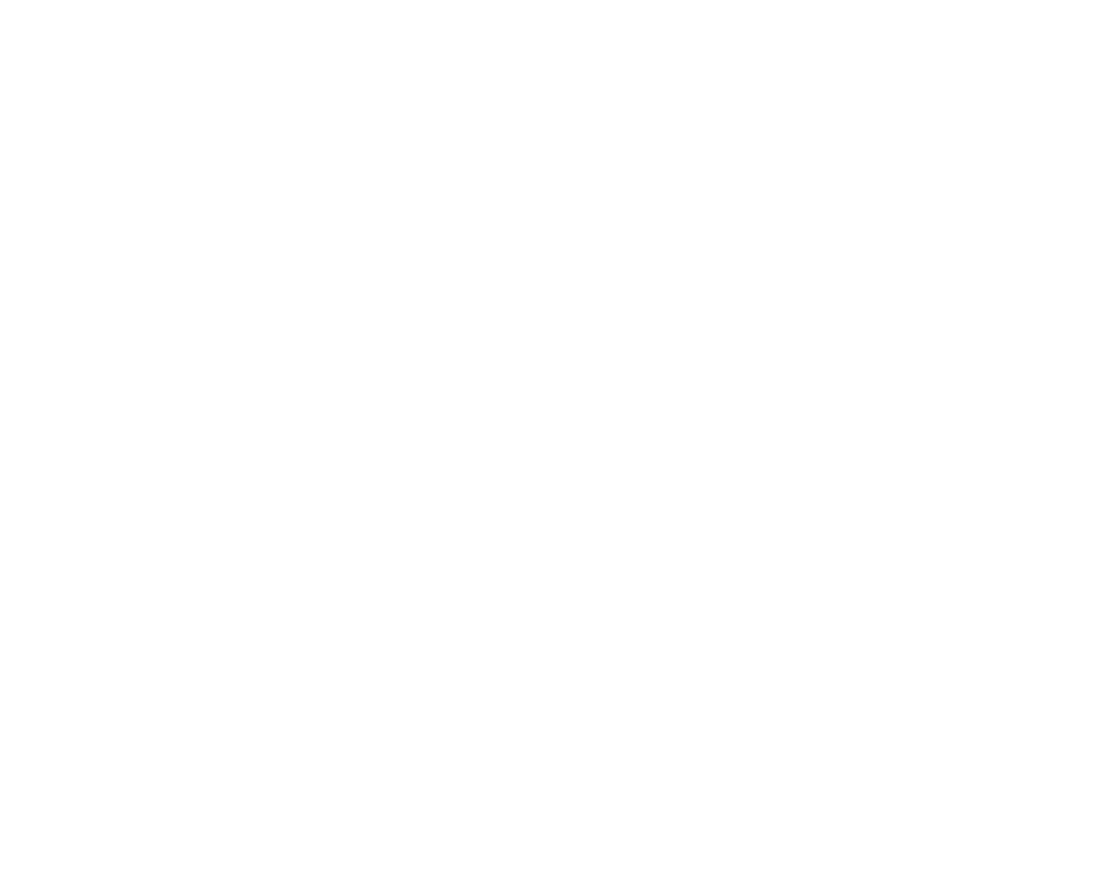 NovaVisonLogoWhite